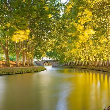 Couette-café A La Cattus Bram