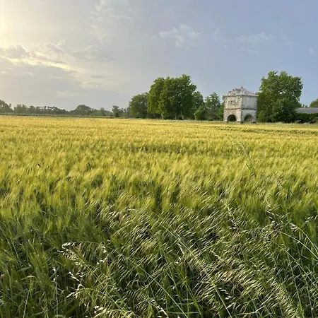 Couette-café A La Cattus 3*